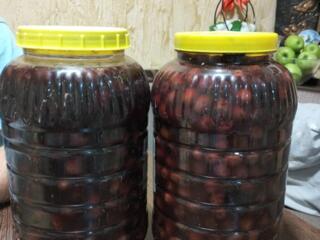 Маслины домашние