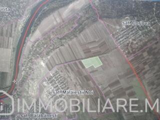 Teren agricol, loc. Bălăbănești, r-nul Criuleni Vă propunem spre ...