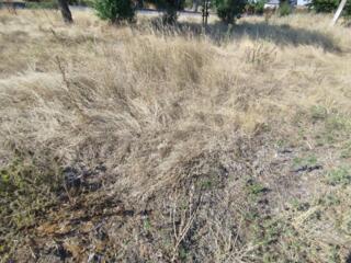 Продается земельный участок на берегу озера в селе Молодежное. ...