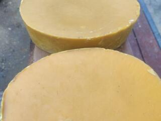 Продам воск пчелиный