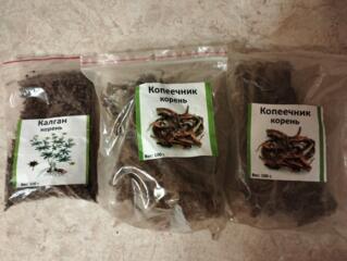 Красный корень