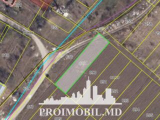 S pre vânzare se oferă teren cu destinație agricolă, situat la prima .