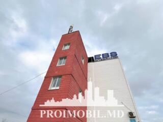 Se oferă spre chirie spațiu pentru oficii amplasatîn sect. Centru, ...
