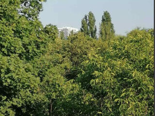 Дом в Золотом треугольнике.