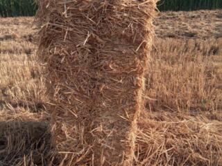 Продам солому пшеницы