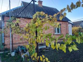 Дом, центр Бл. Хутора. Ремонт, удобства. 5 соток. Летняя кухня, гараж.