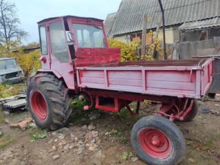 Трактор т16м цена 2000 уе