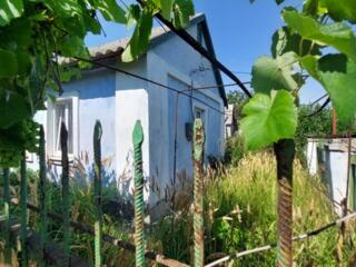 Дом в Александровке, с участком 9 соток и летней кухней