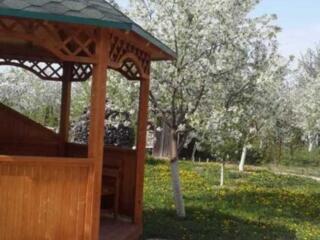 подобова оренда 5-к будинок Фастівський, Бишів, 5000 грн./добу