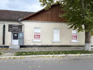 Сдаю в аренду