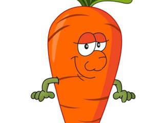 На уборку МОРКОВКИ