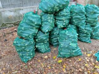 Дрова в наличии