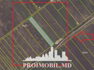 S pre vânzare se oferă teren agricol, situat în Colonița. Suprafața ..