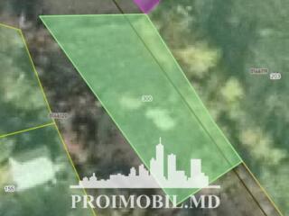 Spre vânzare se oferă teren pomicol cu autorizație de construcții, ...