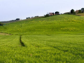 В продаже участок с застроенным цоколем,близость города и 7 км.!