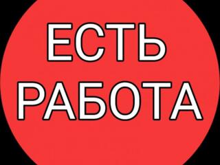 Работа в Германии (биопаспорт) прокладка кабеля. Высокая ЗП