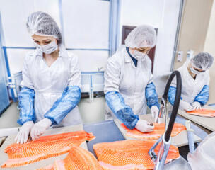 Вакансии на рыбной фабрике Европы.