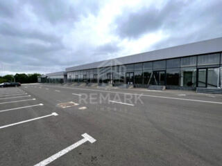 Chirie spațiu de 250 mp. pe șos. Balcani cu reparație conform ...