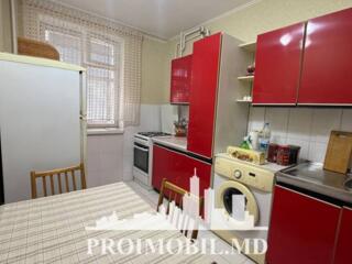 Spre chirie se oferă apartament în sect. Centru, str. Grădinilor. ...