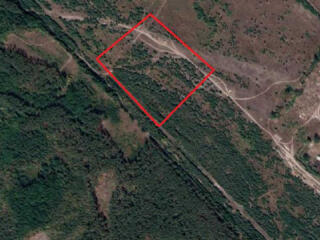 продаж ділянка під житлову забудову Вишгородський, Ясногородка, 7000 $