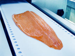 Завод по переработке красной рыбы. Польша г. Кукиния!