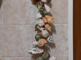 Декор "Ракушки"