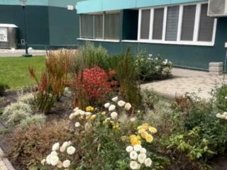 31493  Продам 1-комнатную квартиру на ...