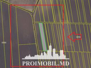 Spre vânzare se oferă teren agricol, situat înAnenii Noi, sat. ...