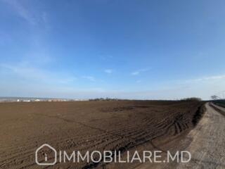 Teren agricol, sect. Botanica Vă propunem spre vânzare un teren ...