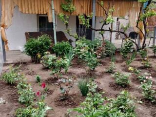 Предлагается к продаже дом в селе Светлое (старые дачи). Общая ...