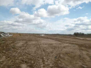 продаж ділянка сільськогосподарського призначення Бориспільський, Воро