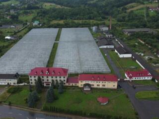 продаж виробничі приміщення Косівський, Стопчатів, 6500000 євро