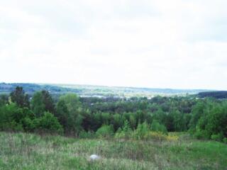 продаж ділянка під житлову забудову Обухівський, Васильків, 4000 $