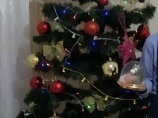 Новогодняя красавица.