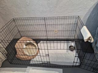 Вольер для собак