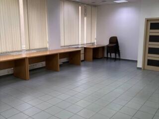 Просторное, светлое, комфортное помещение под офис в Центре