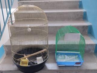 Продам клетки для попугаев