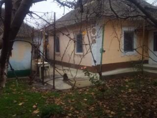 Продам дом в Терновке