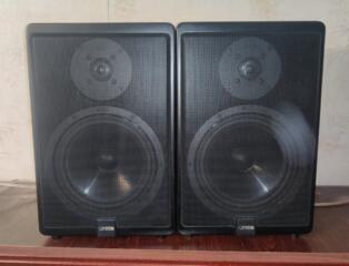 Продам колонки Canton Ergo21DC