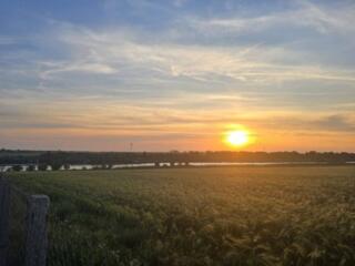 Предлагается к продаже участок в Авангарде. Свет и вода заведены, газ 