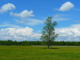 Предлагается к продаже участок в Фонтанке. Отличный вариант для ...