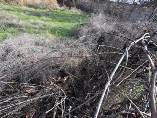 Срочно продается земельный участок у моря с видом на маяк. ...