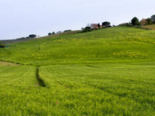 Продается земельный участок на ул. Цветочной (на Фонтане / 9 станция).