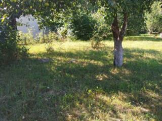 продаж ділянка під житлову забудову Бучанський, Ірпінь, 119000 $