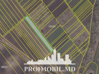 S pre vânzare se oferă teren agricol, situat în Colonița. Suprafața ..