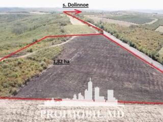 S pre vânzare se oferă teren agricol, în Colonița, str. Budești. ...