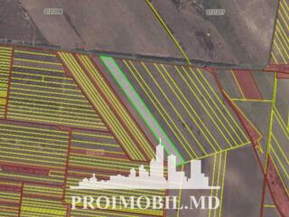 Spre vânzare se oferă teren agricol, situat în com. Băcioi. Suprafața 