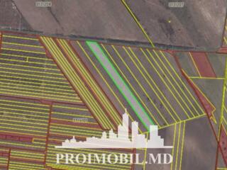 Spre vânzare se oferă teren agricol, situat în com. Băcioi. Suprafața 
