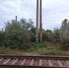 В продаже земельный участок в смт Затока, ул. Вокзальная. Площадь ...