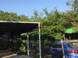 Продам достойный участок на Ёлочной